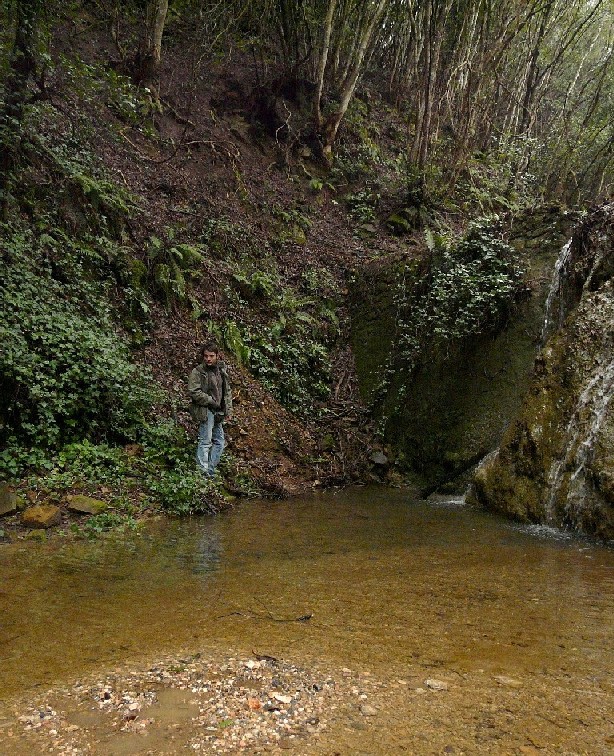 Salamandrine di Maremma